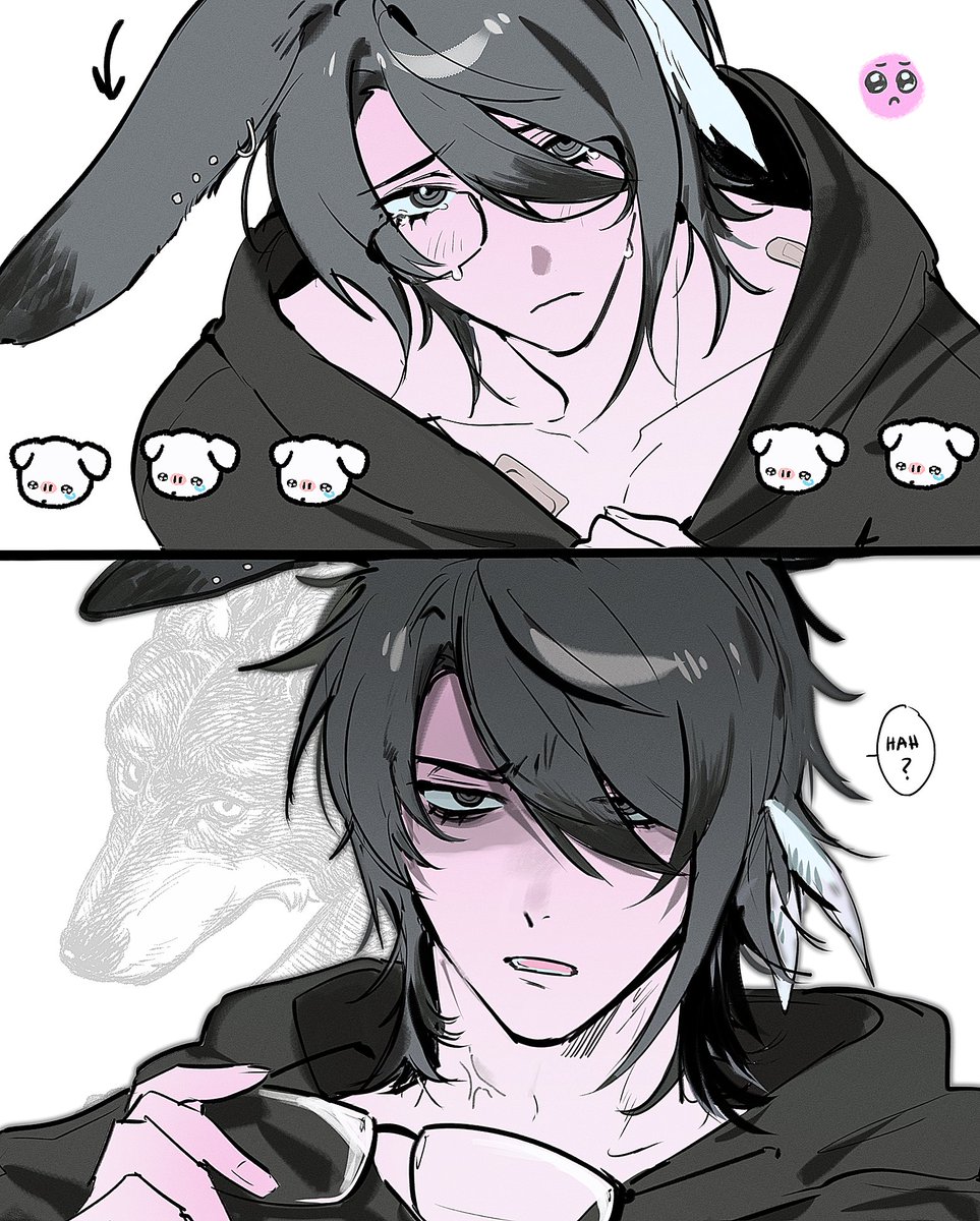 🐰 →→→→ 🐺
