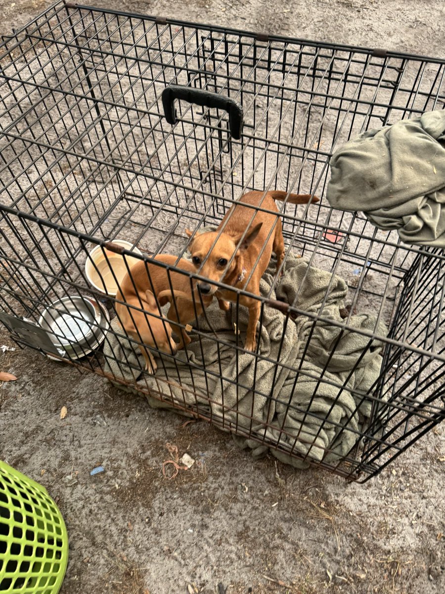 First Lady Marty Kemp tweet media