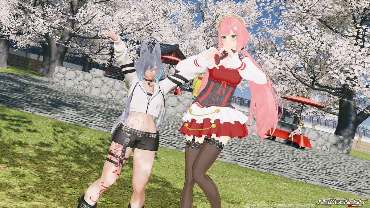 緋花瑠 tweet media