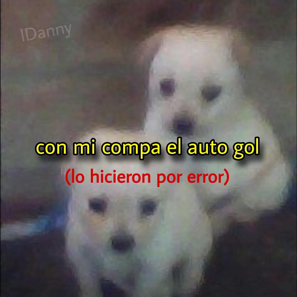 memes feos yo qué sé (@memefeos) on Twitter photo 