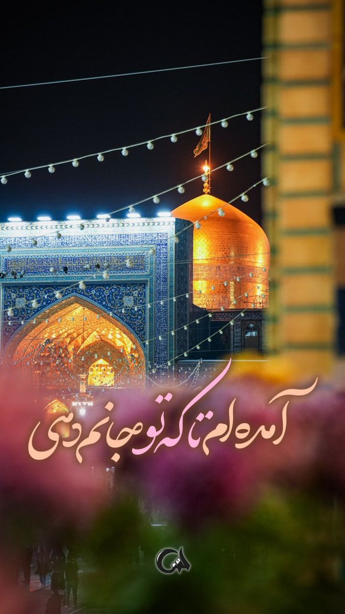 🇵🇸 🎒*حنیفا*하니파* tweet media