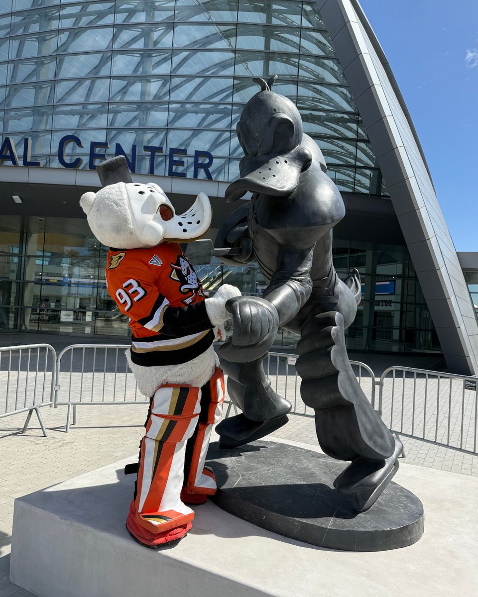 Wild Wing tweet media