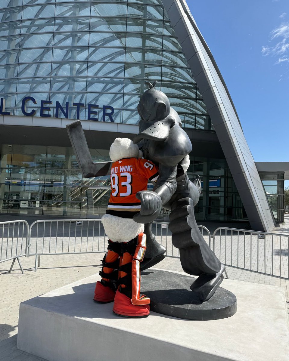 Wild Wing tweet media