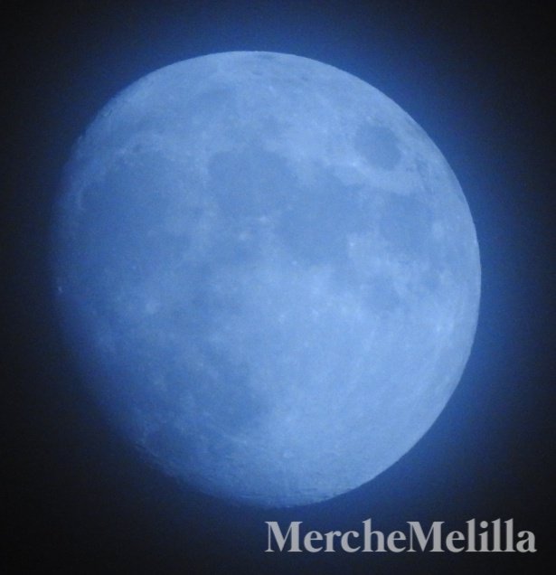 Merche Melilla tweet media