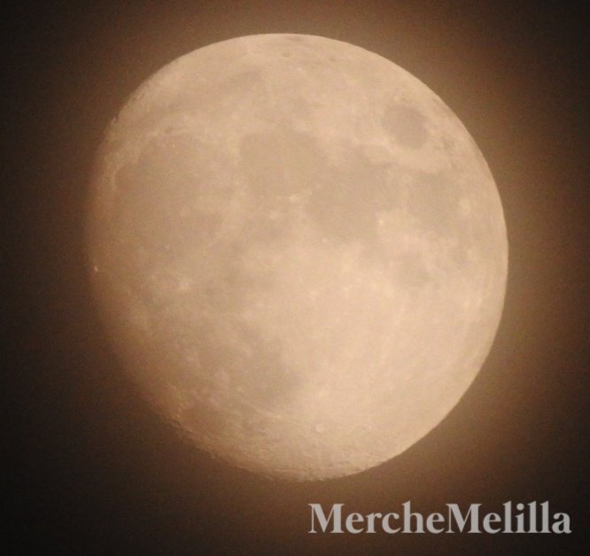 Merche Melilla tweet media