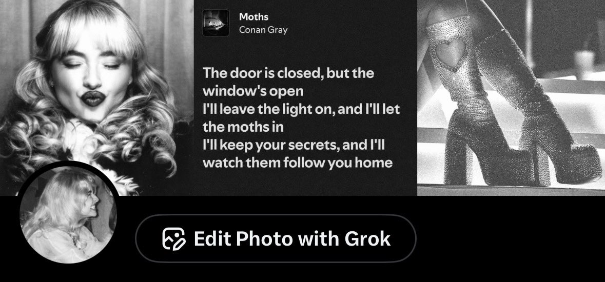 𝐭𝐢𝐟🦇 tweet media