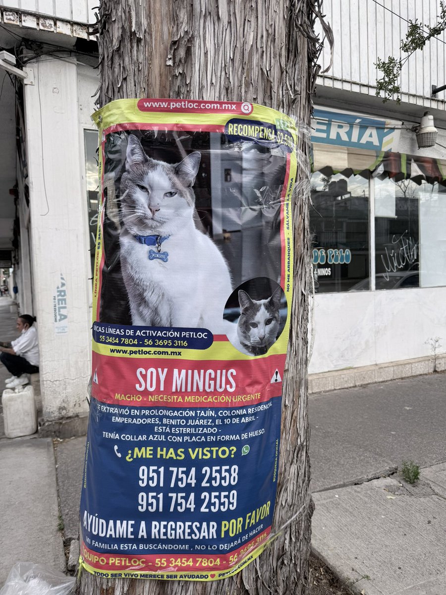 Residencial Emperadores tweet media