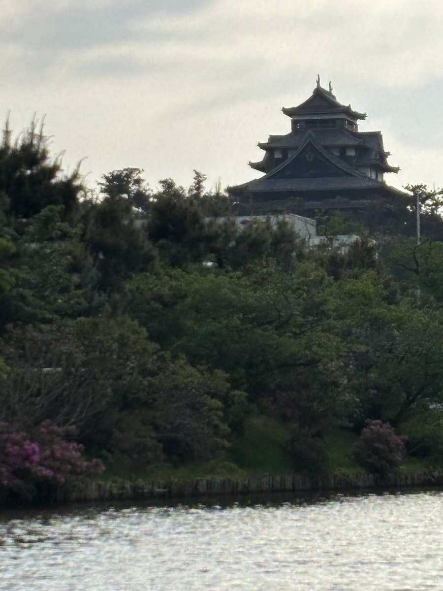 Moichi67's tweet photo. 松江城攻城。日本100名城であり、現存12天守の一つであり、国宝5��守の一つでもあります。
外観は4重、内部構造は5階建。木造建築で通し柱が2回ずつ位置をずらしながら配置されていました。
ばけばけを思い出しながらの堀一周も良かった
#松江城　#100meijyo #asadora_bk_nhk https://t.co/57kRybiGxI