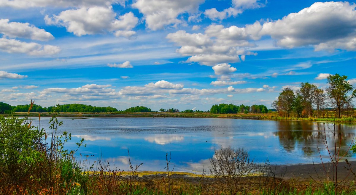 ByTheBayPhotos's tweet image. Spring at Bombay Hook National Wildlife Refuge in Delaware.

#BombayHookNWR #Delmarva #Birding #Delaware