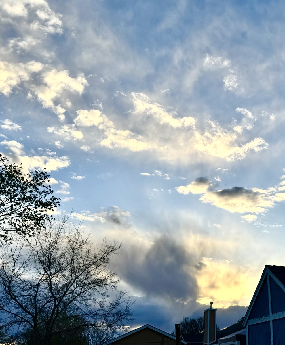 jonimarielew's tweet image. #sunset #desert #Nevada #skies #clouds #trees