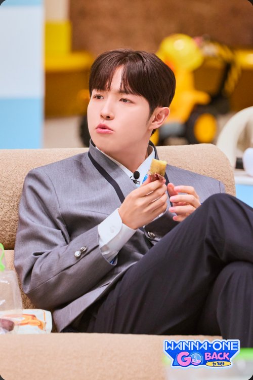 묘햄 tweet media