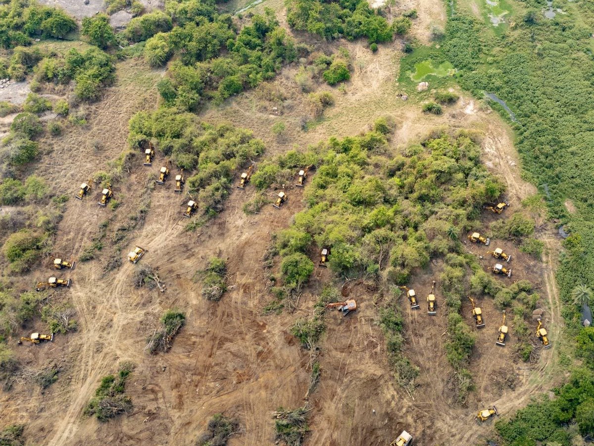 ysathishreddy's tweet photo. Rahul ji, 

You should have done same PR vacation trip, when your congress govt in Telangana tried killing 400 acres of green forest in Kanche Gachibowli. 

Not to forget, Supreme Court questioned termed this as ‘Pre Planned’ & exposed your motive behind the sudden urgency to destroy 100’s acres of land overnight, deploying heavy machinery & police force. The bench expressed strong suspicion over your congress govt’s actions.
#HCU