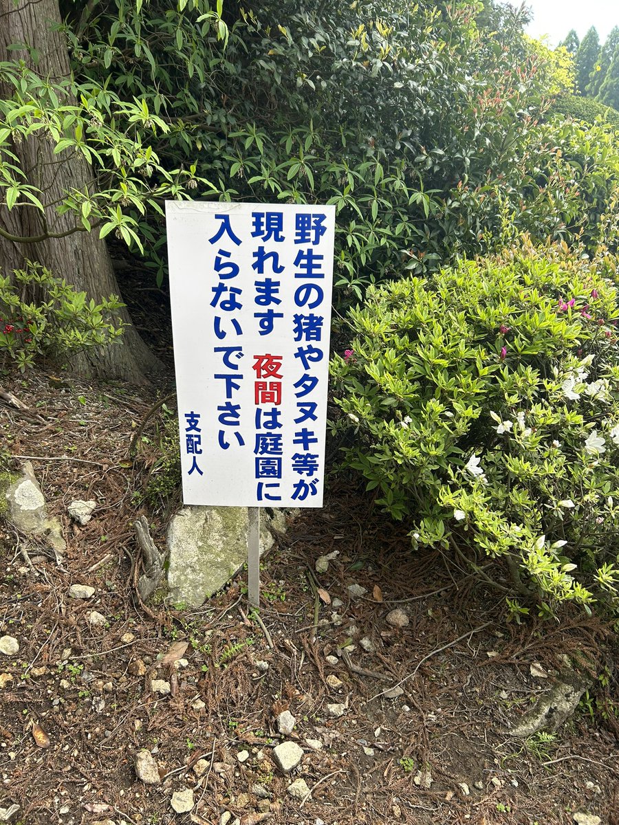 かんしょ tweet media