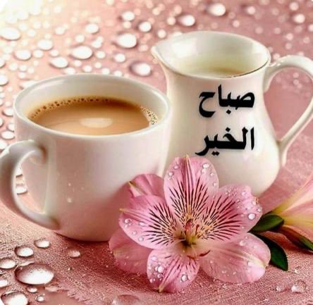‏ ‏ ‏ڛۣــحۡــٰٱ̍بــہ ̨؏ــٰٱ̍بــڔه tweet media