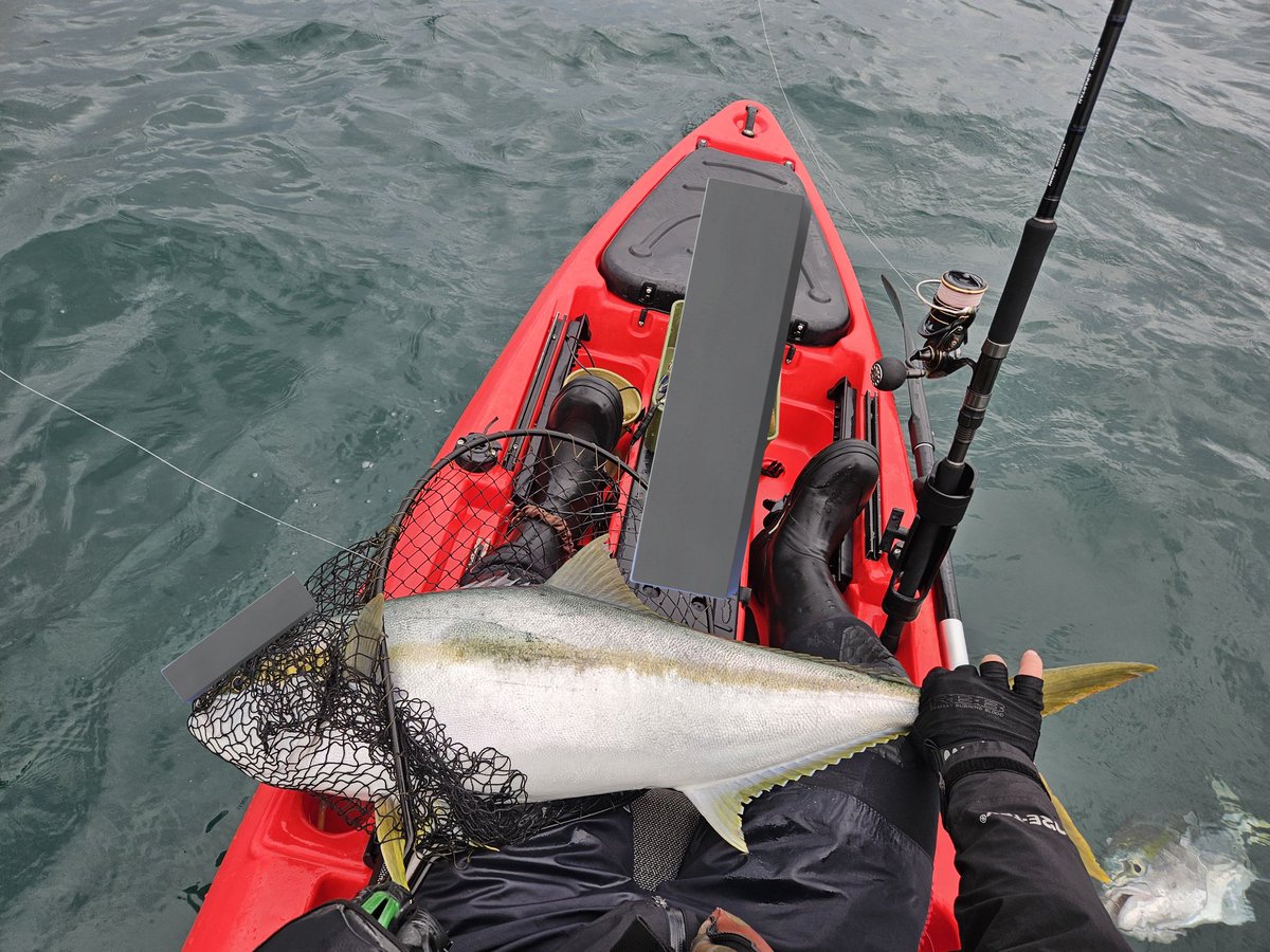 ishikawa🎣🇺🇸 tweet media