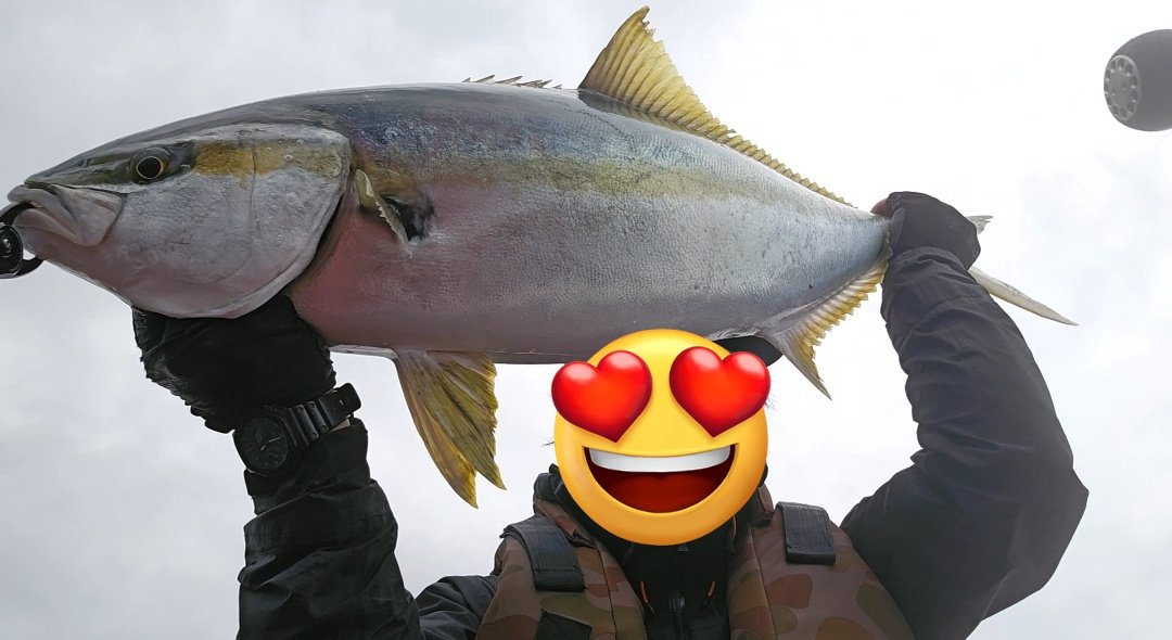 ishikawa🎣🇺🇸 tweet media