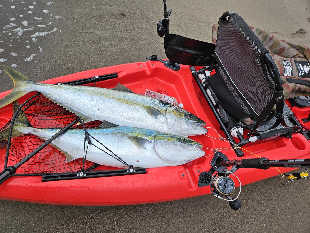 ishikawa🎣🇺🇸 tweet media