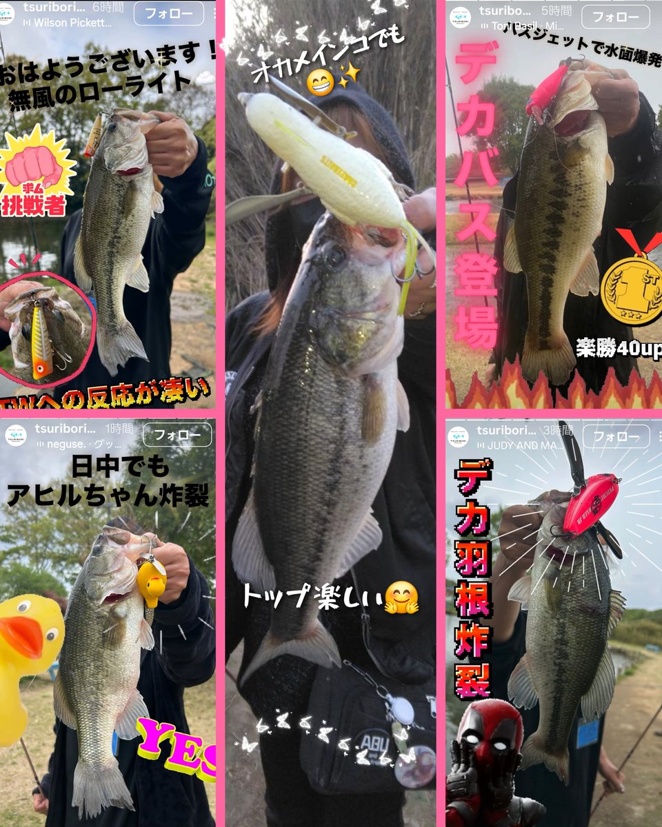 mayumi tweet media