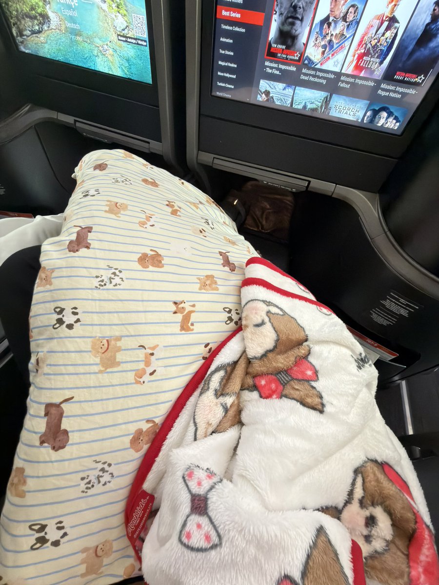 aangelinaa.ss tweet media