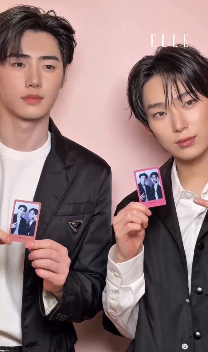 peanut.. tweet media