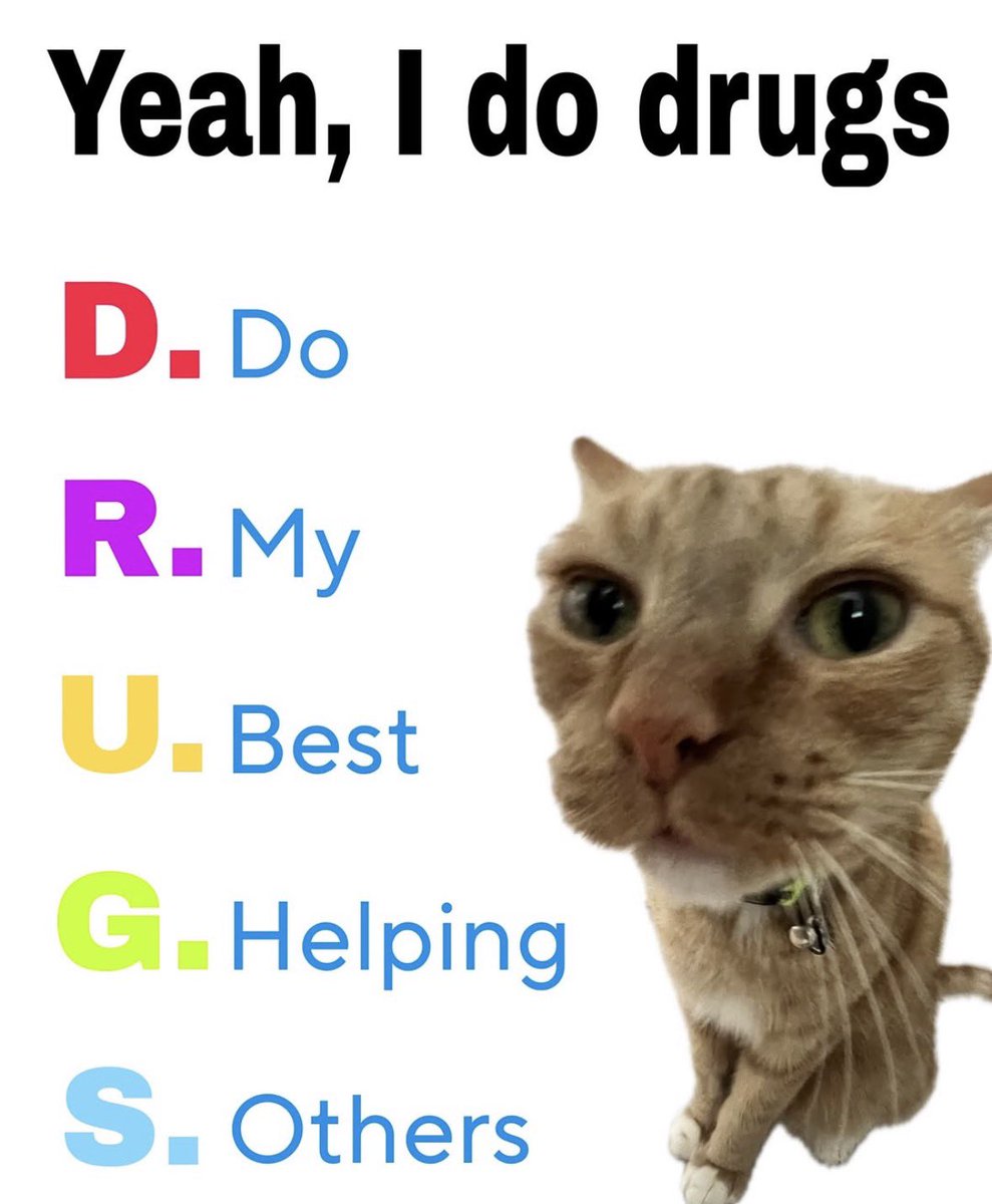 LiterallyMeCats tweet media