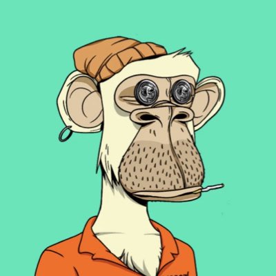 JayBaum tweet media