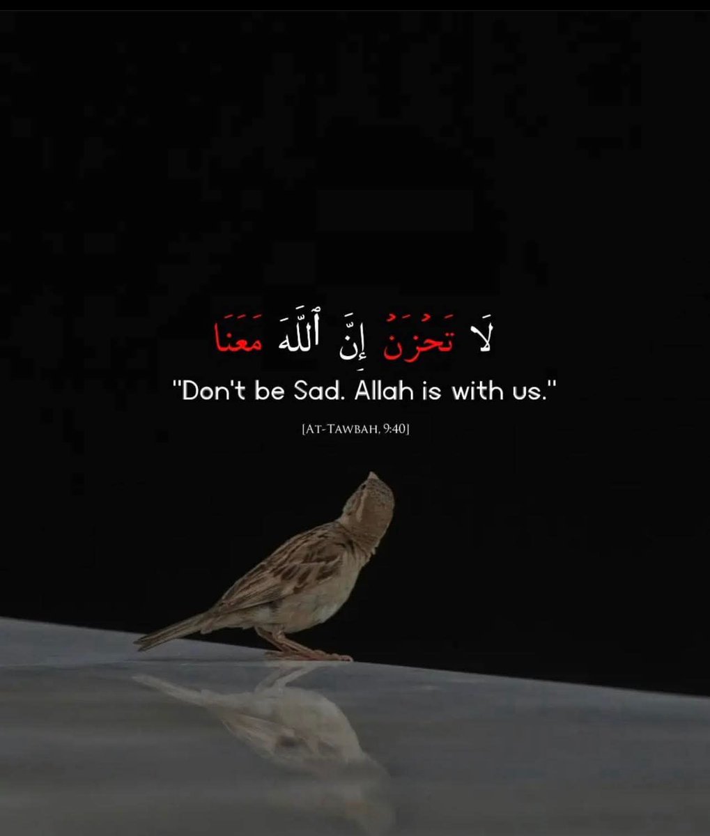 Ilham🇳🇬🇵🇸♥️ tweet media