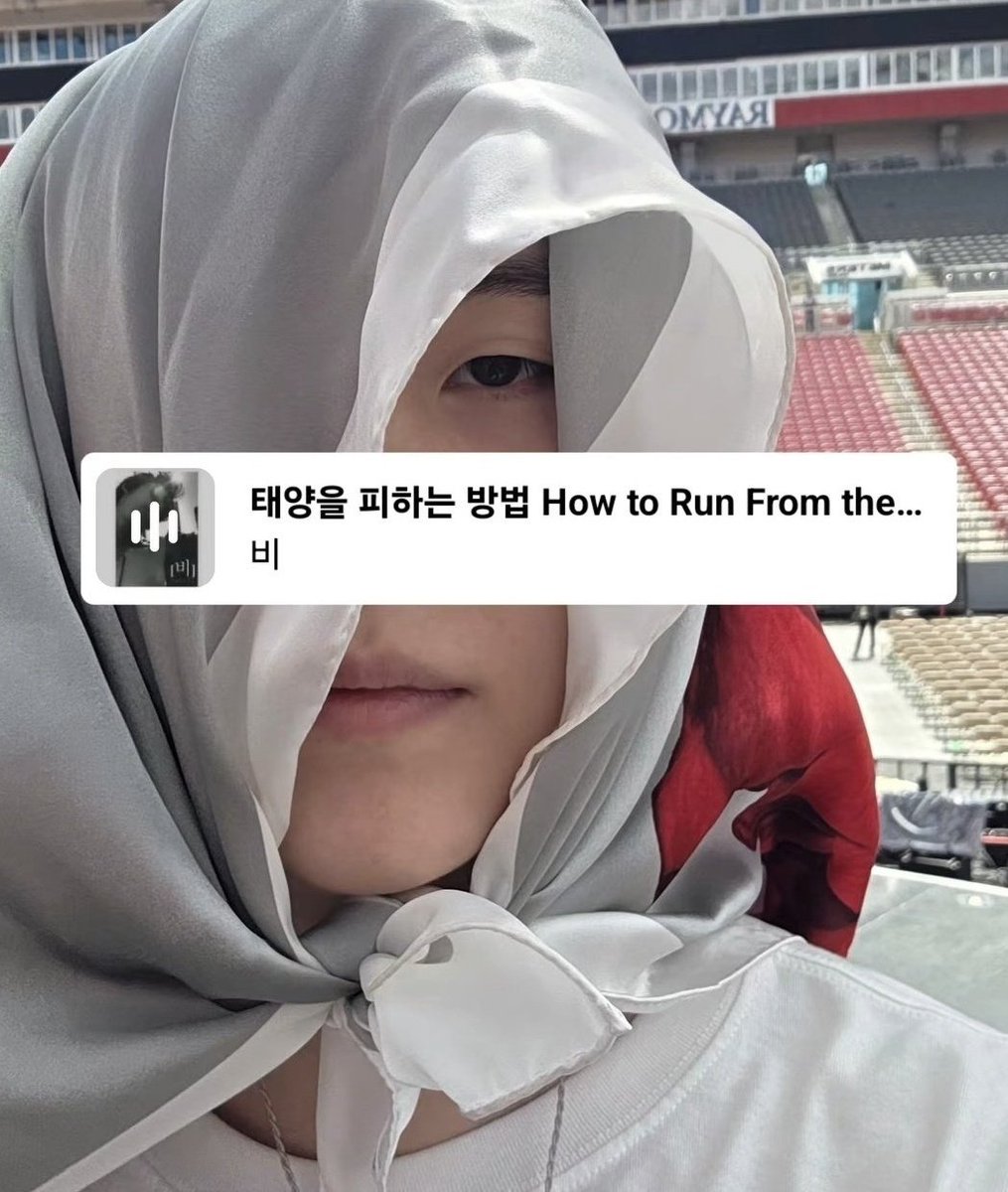 meowgi bot tweet media