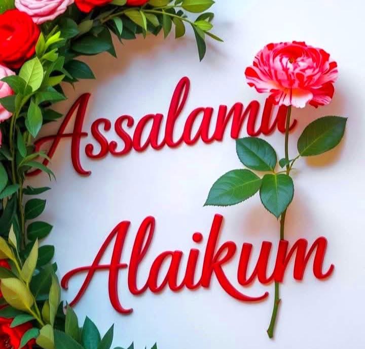 Haleema Abubakar🌹 tweet media