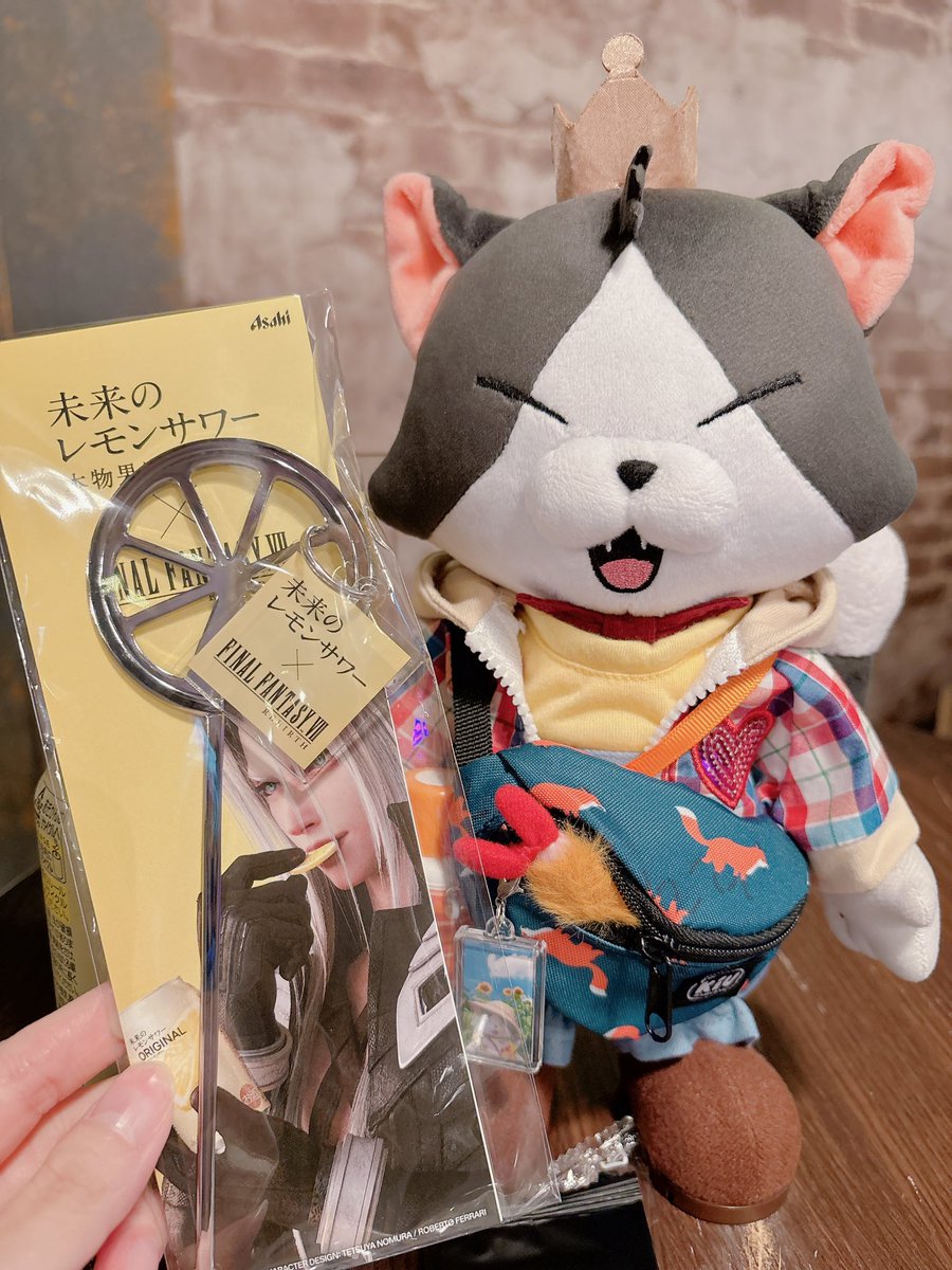 ぴょんぴょんG🐾FF7Rとぬい撮り🐱 tweet media