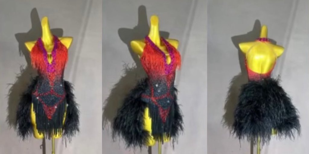 #ドレスレンタル

❤️赤黒フェザードレス🖤
着用者:152cm（〜165cm対応）

オーストリッチが踊る度に大きく揺れます🪽
胸元のストーンと縦のラインを強調するデザインでシルエットが綺麗に出ます✨

レンタル希望の方、質問がある方はdmまで✉️

低身長〜高身長OK/美品
アマ戦・学連・デモ/全国配送可