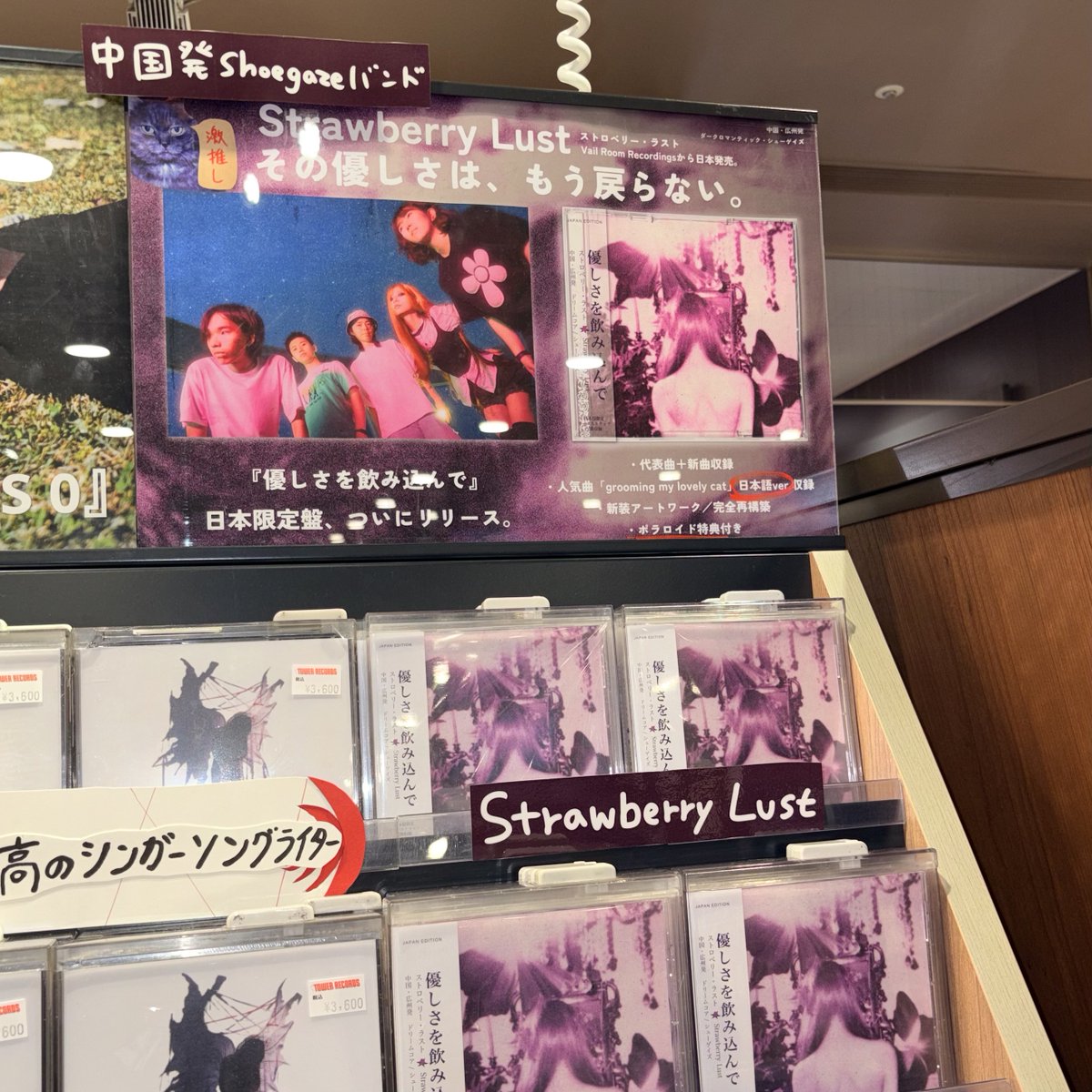 【中古】 わたしの秀歌散策 KNOWMUSICKNOWASIA】 中国発のシューゲイズ・バンド、Strawberry Lust