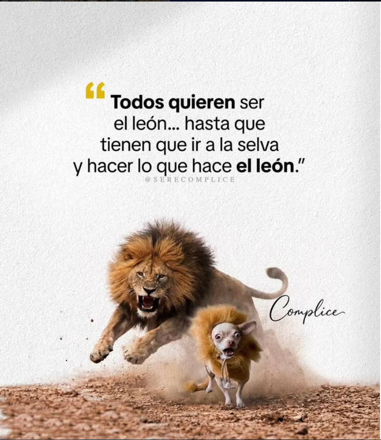 David 04 🐍 tweet media