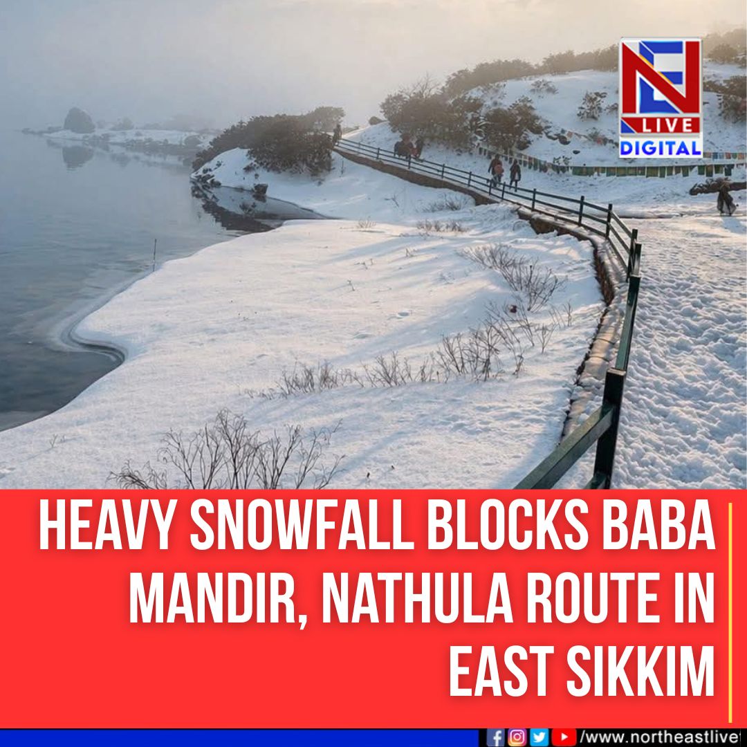 NELiveTV's tweet image. #Eastsikkim #snowfall #touristattraction #Tsomgolake #nathulapass #babamandir #northeastlive