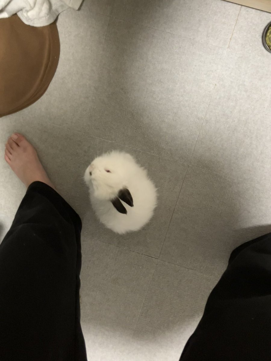 ゆきまる日記 tweet media