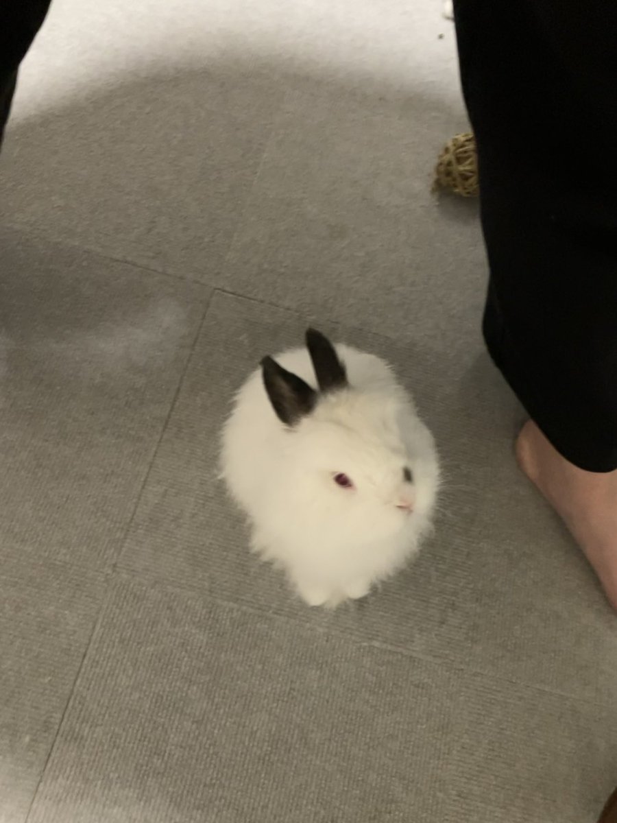 ゆきまる日記 tweet media