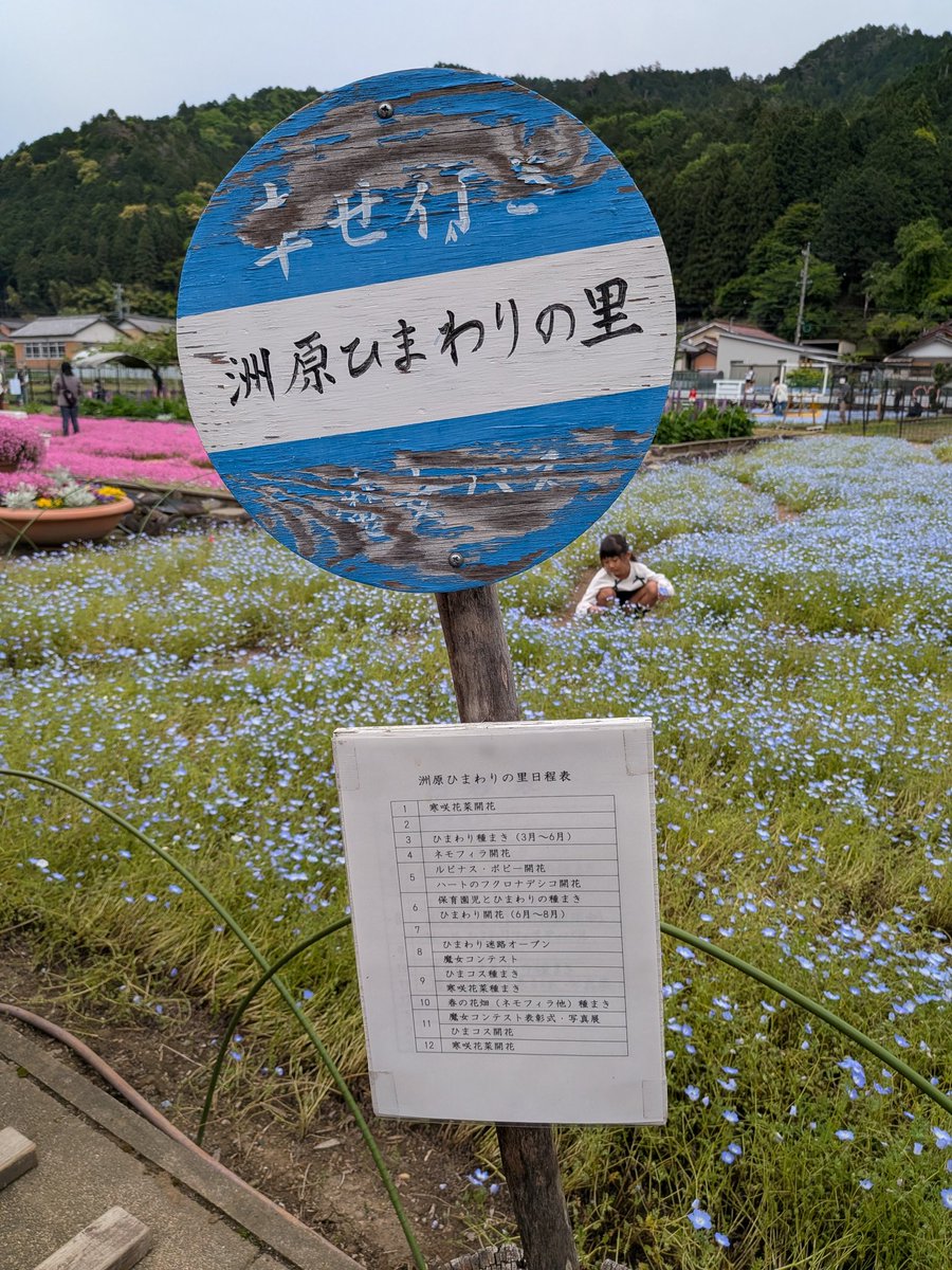 なお。 tweet media