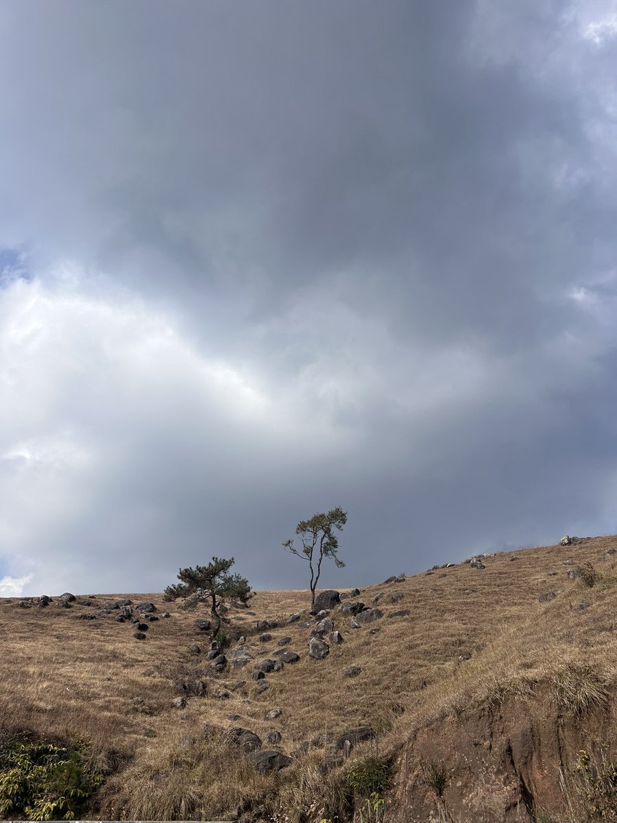 Soma Das tweet media