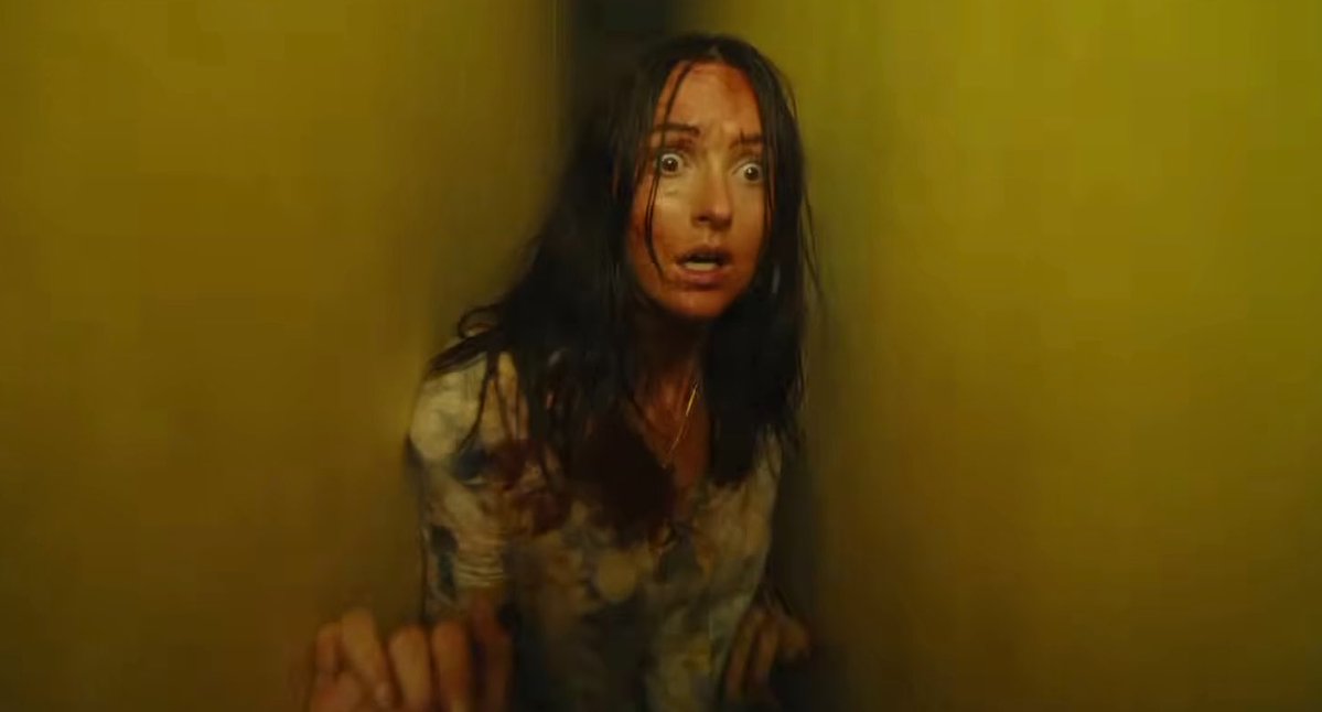 Backrooms Movie Updates tweet media