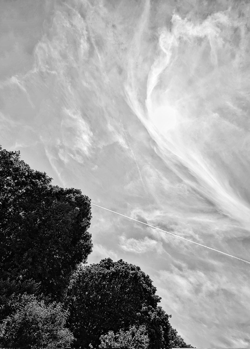 jimmywoolfmusic's tweet image. Rien n'égalera la beauté de la nature et surtout pas  l'humain !
Avec sa bêtise, son égoïsme, sa façon de vouloir avoir toujours raison !

---
#sky
#clouds
#trees
#blackandwhitephotography 
#photographer
