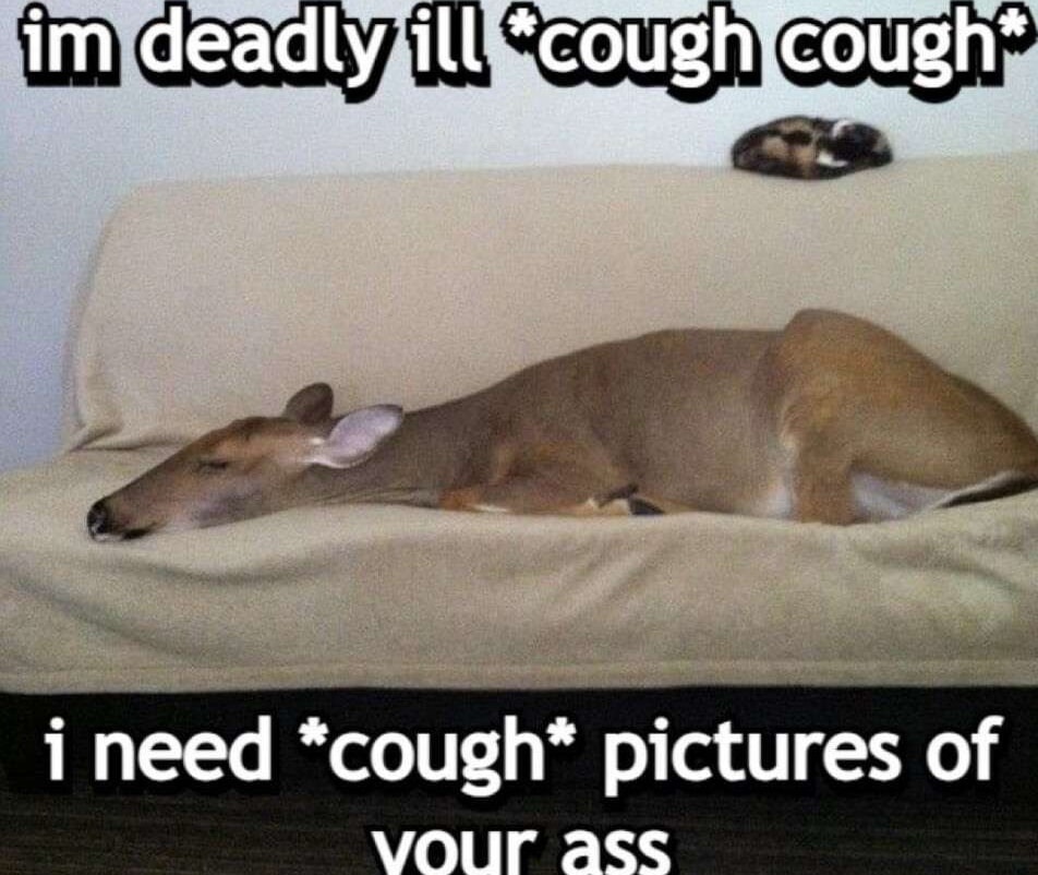 🏳️‍🌈Blowback But Possum🔞 tweet media