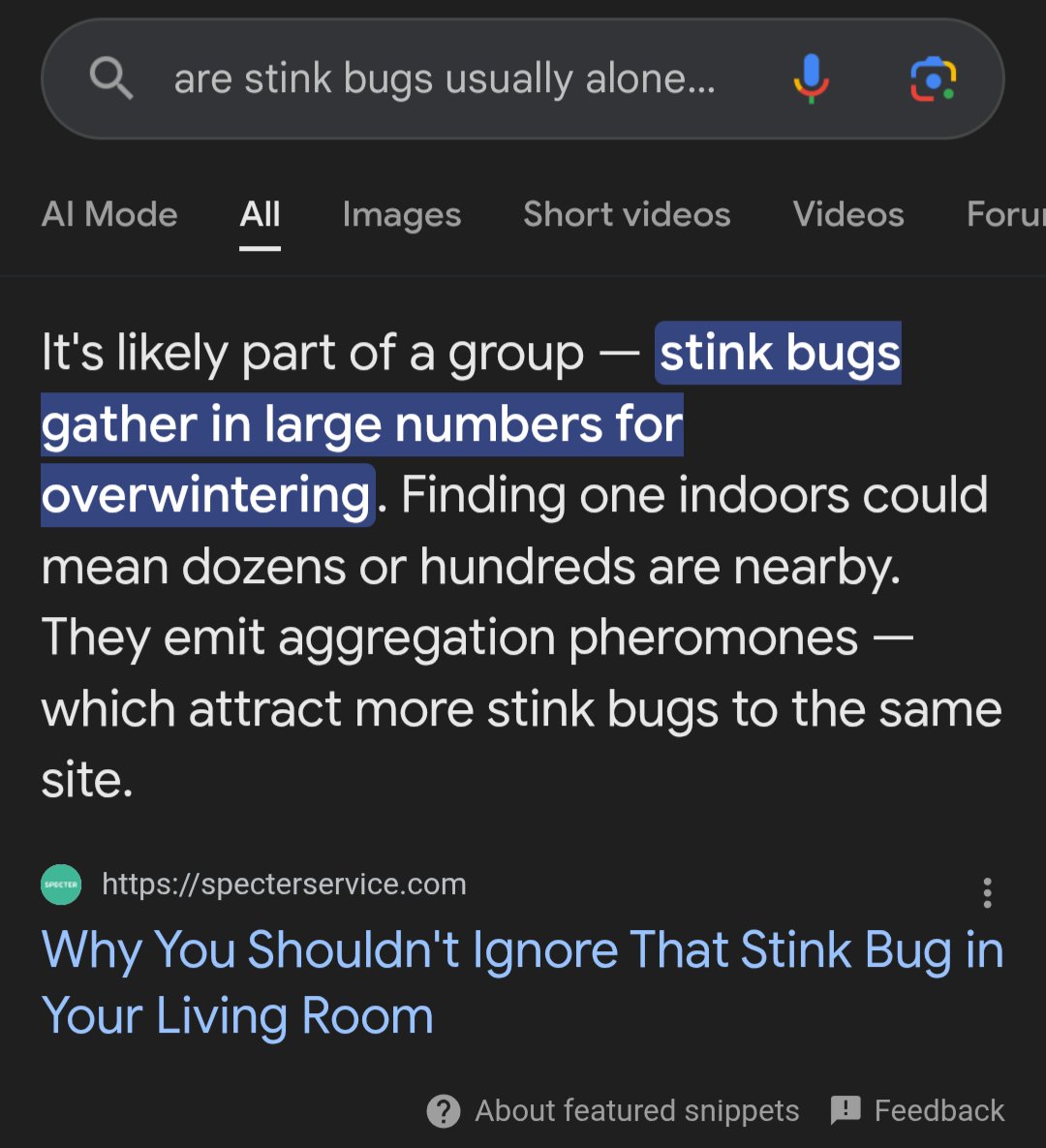 𓆩ꪜỉᨶꫀ ꫝꫀꪖꪹᡶ𓆪ᵀʰᵉʸ/ᶦᵗ tweet media