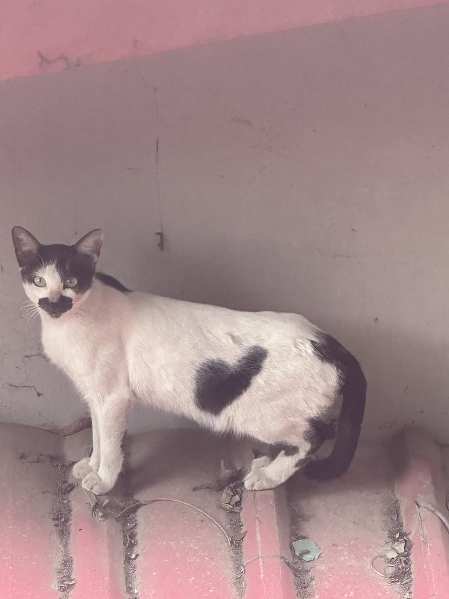 Soma Das tweet media