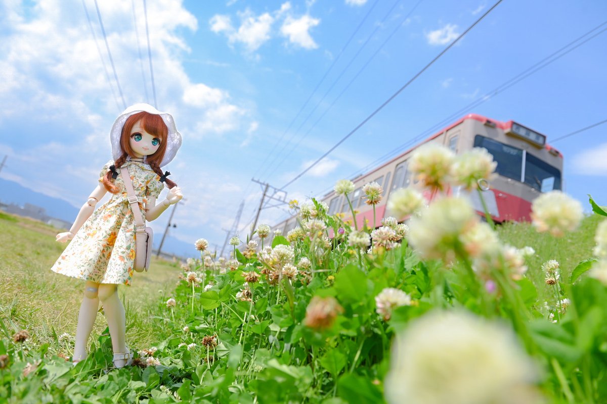 にっしー@たぶん9月アイドール大阪 tweet media