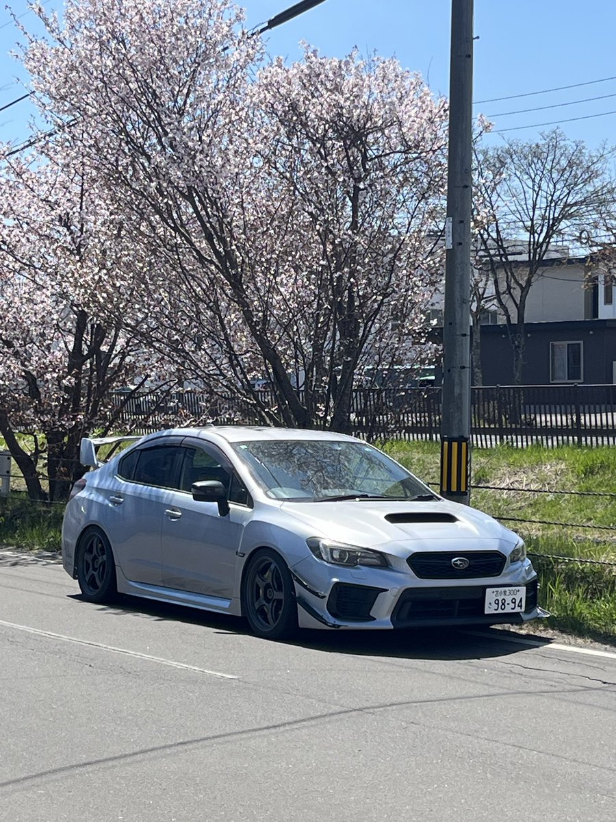 oz_vab_d's tweet photo. 住んでるところ真横に桜あって便利 https://t.co/7G26LZely2