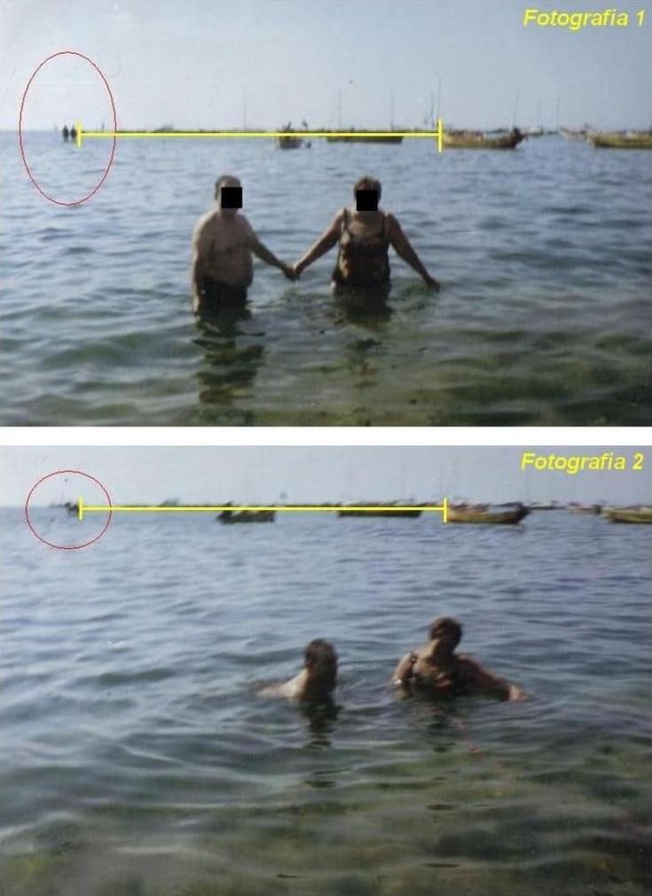 humanoidlord tweet media