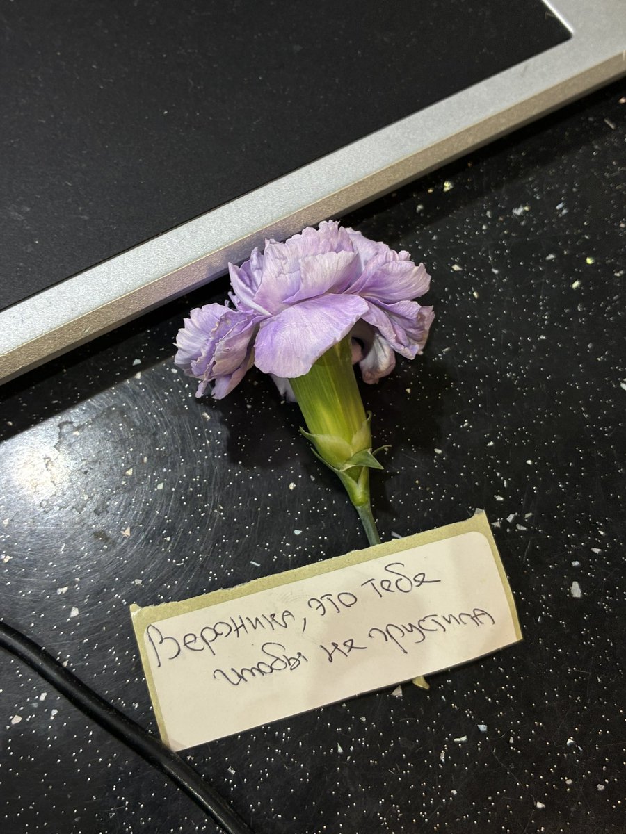 веня киберхрыч 萍文雅 tweet media