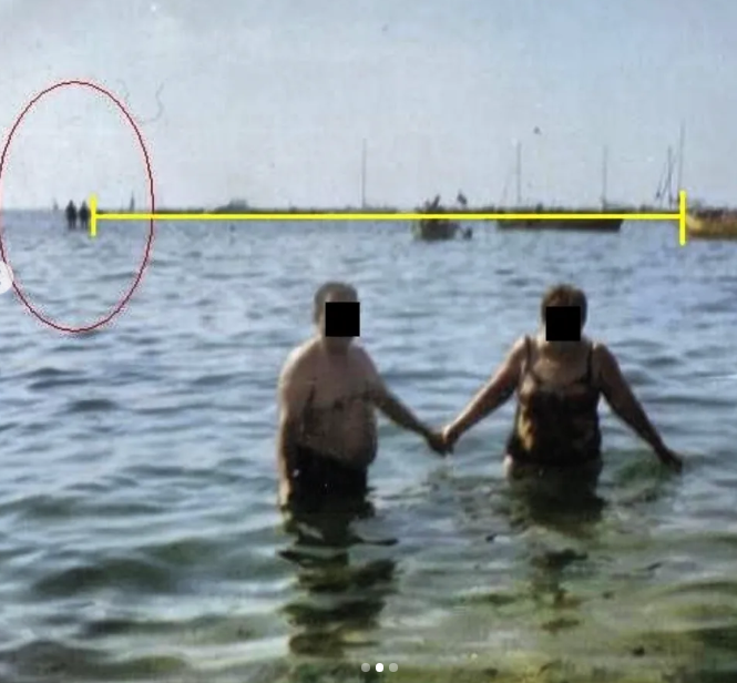 humanoidlord tweet media