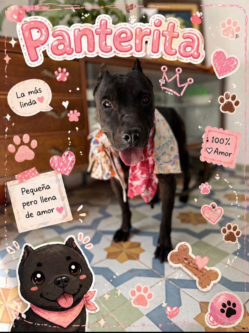 𝙷𝚎𝚕𝚊 𝙼𝚘𝚛𝚎 🐶 tweet media