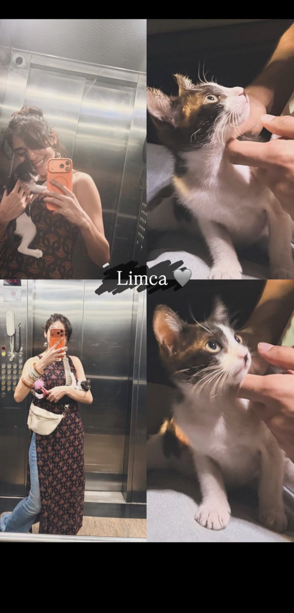 Sandeep sharma tweet media